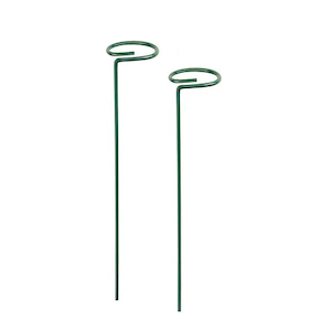 Plant Support Stakes 30cm， Metal Garden Single Stem for Orchid