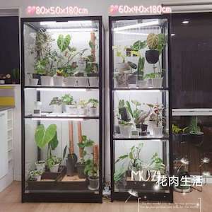 Modified Indoor Plants Glass Cabinet Greenhouse ▸ 改装室内绿植玻璃柜