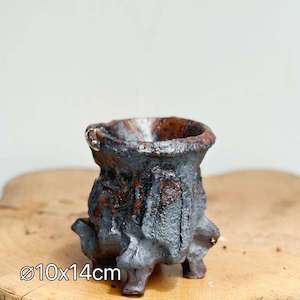 Cosmetic: Ancient Tree Vessel Succulent Pot