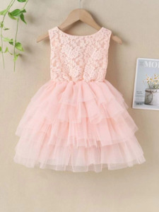 Flower Girls Lace And Mesh Layered Dress