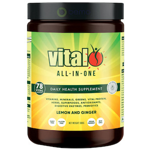 Vital, All in One, Lemon & Ginger, 300g