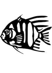 digital: Dorey inspired fish (digital files)