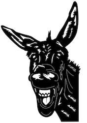 Crazy donkey (digital files)