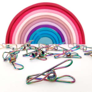 Internet only: Rainbow Pegs®- Stainless Steel Marine Grade Clothes Pegs