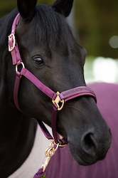 Eskadron Satin Jewel Double Pin Headcollar Heritage 23