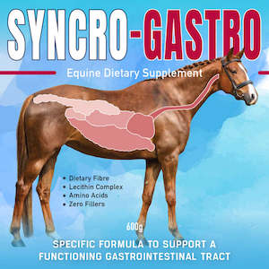 Syncro-Gastro 600g