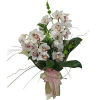 N.z. Cymbidium orchid vox bouquet