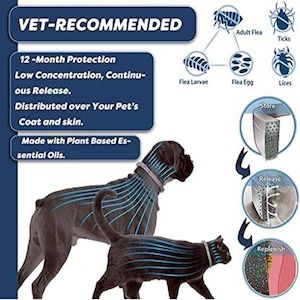 Homewares: 48cm Anti Flea Tick Parasitic Collar for Cats 2 Pack Effective Protection for Pets