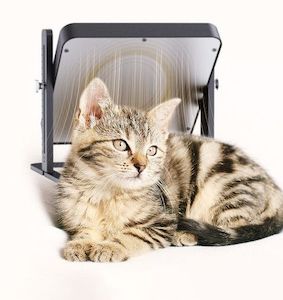 Pet heater cat dog chicks with Ajustable Height and Angle, Chicken Coop Heater, …