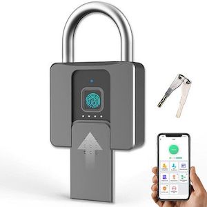 Fingerprint Padlock Zinc Alloy Smart Biometric Print Miniature Padlocks Door Wat…