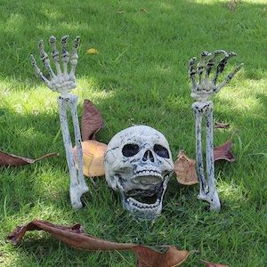 Realistic Skeleton Stakes, Halloween Lawn Decorations, Garden Stakes, Halloween …