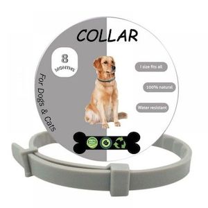 Homewares: Flea and Tick Collar for Dogs 8 Months Hypoallergenic Waterproof Adjustable 65cm Dog Collar 2 Pack