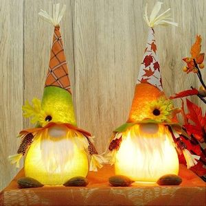 Thanksgiving Decorations Set of 2 Gnomes with LED Lights, Swedish Tomte Gnomes Dwarf Tabletop Decor for Fall Harvest Home Kitchen Decor