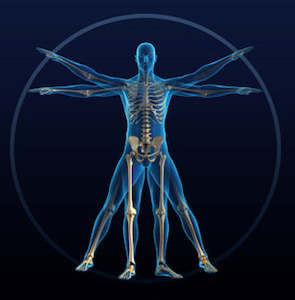 Kinesiology at Be Vibrant Holistic Wellness - In Person or Online