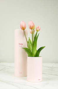 Tulip Ever After - Pink