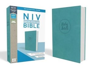 NIV Thinline Bible Imitation Leather