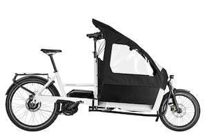 Bicycle and accessory: Riese & Müller Transporter2 65 Vario