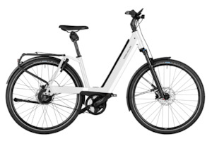 Bicycle and accessory: Riese & Müller Nevo Vario