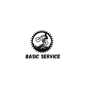 BASIC BIKE SERVICE