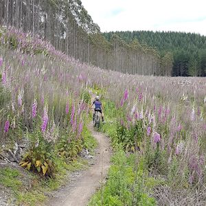 Guided Adventures - Hawkes Bay & Taupo