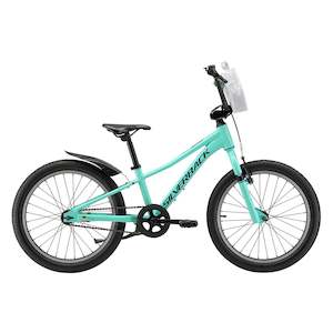 Silverback Skid 20" Kids Bike Teal