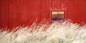 The Red Barn Window