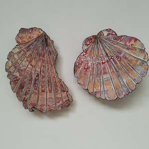 Scallop Shell Pair