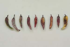 Art dealing: Set of 9 Gum Leaves - Plums