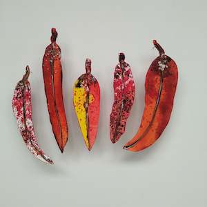 Art dealing: Set of 5 Gum Leaves