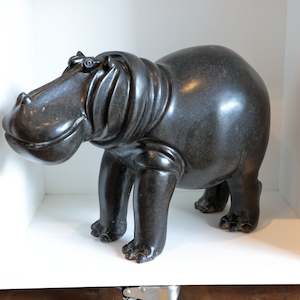 Art gallery: Funky Hippo