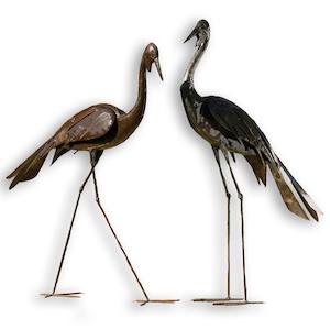 Art gallery: Birdwoods Wattled Cranes