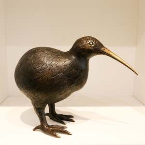 Art gallery: Large Kiwi