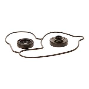 Water Pump Kit Suz Rmz450 05-07