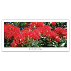 Seasons Greeting Card - Blooming pohutukawa