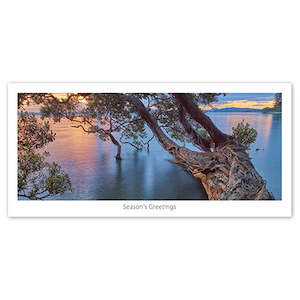 Greeting Cards 1: Seasons Greeting Card - Pohutukawa over the water