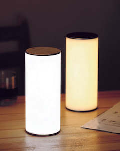 Stella Gravity Lamp