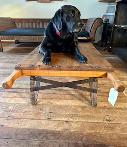 Furniture: Daschund Coffee Table