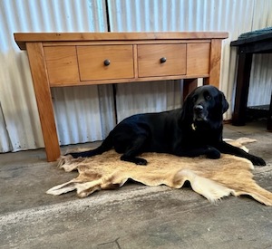 Golden Retriever Hall Table