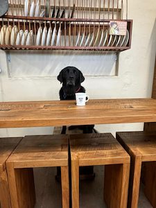 Great Dane Rimu Waterfall Breakfast Bar