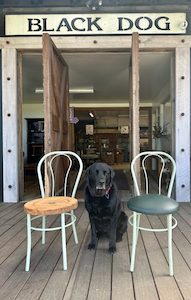 Lap Dog Retro Chairs