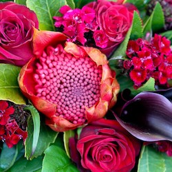 Dramatic Red Bouquet