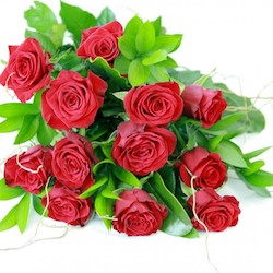 12 Red Roses