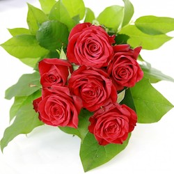 6 Red Roses