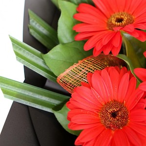 Gerbera Bouquet