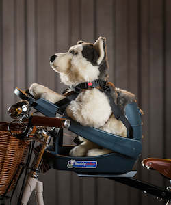 Cycling Accessories: Buddyrider Bicycle Pet Seat