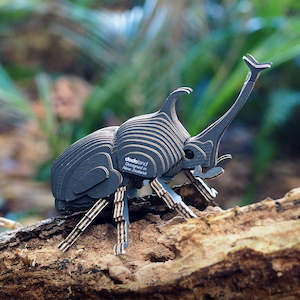 Rhino Beetle EUGY