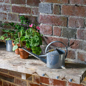 Gardening: Sophie Conran Greenhouse & Indoor Watering Can - Galvanized, Small