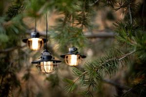 Barebones Edison String Lights