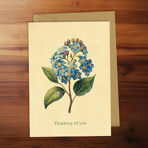 Blackwell Press: Friendship Card - Thinking of you (Forget-me-not)