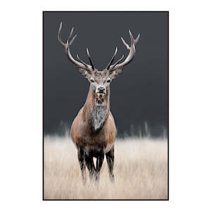 Hair care: ROYAL STAG CANVAS PRINT